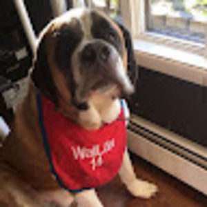 Meet your Posher, Cameron